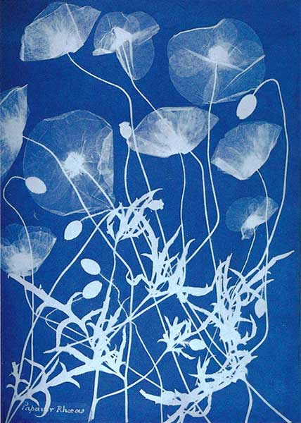 Anna ATKINS